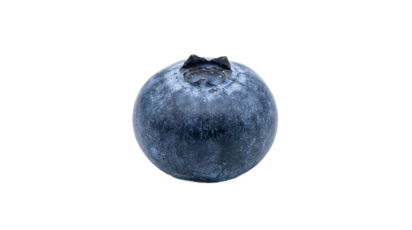 blueberry png PNG transparent background