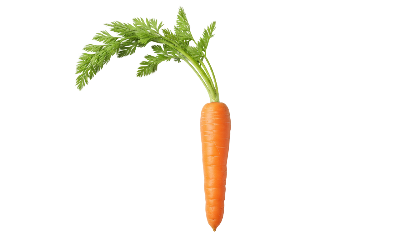 carrot animated png PNG transparent background