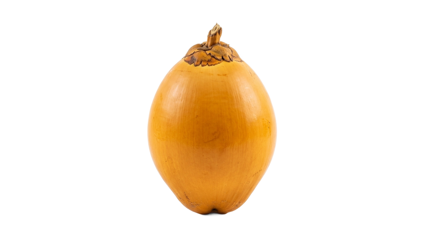 king coconut png PNG transparent background