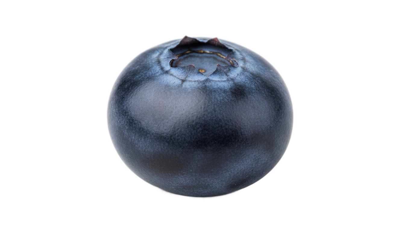blueberry emoji png PNG transparent background