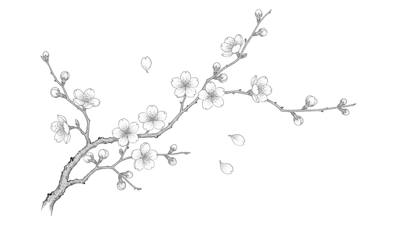 cherry blossom png black and white PNG transparent background