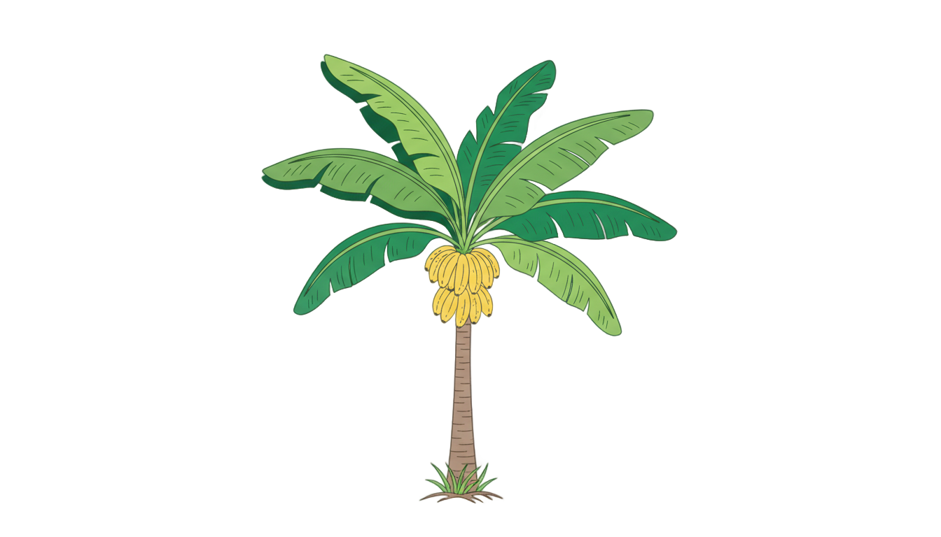 banana tree png for invitation card PNG transparent background