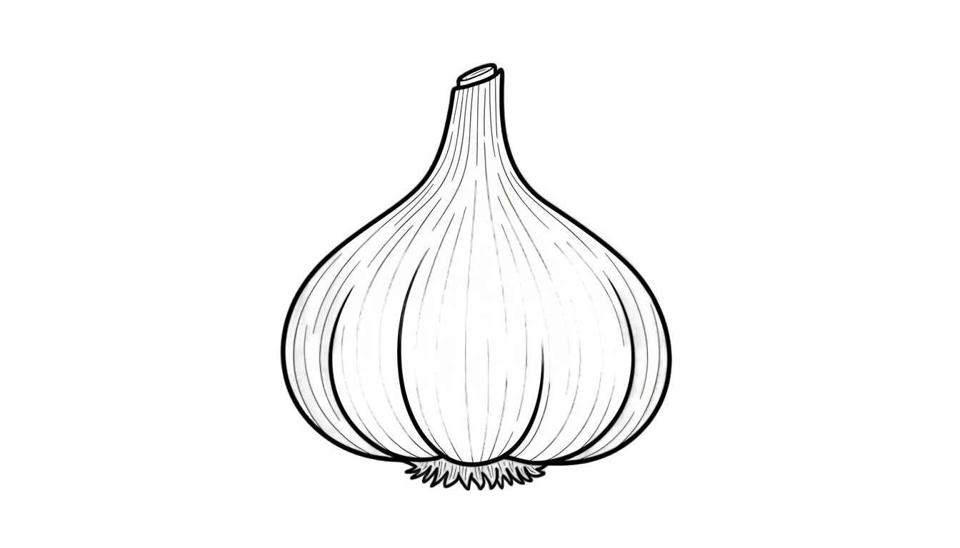 garlic outline png PNG transparent background