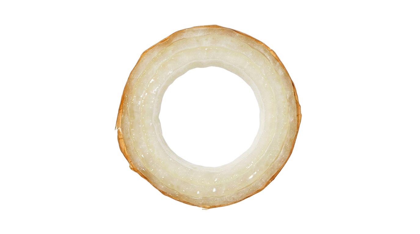 flying onion slice png PNG transparent background