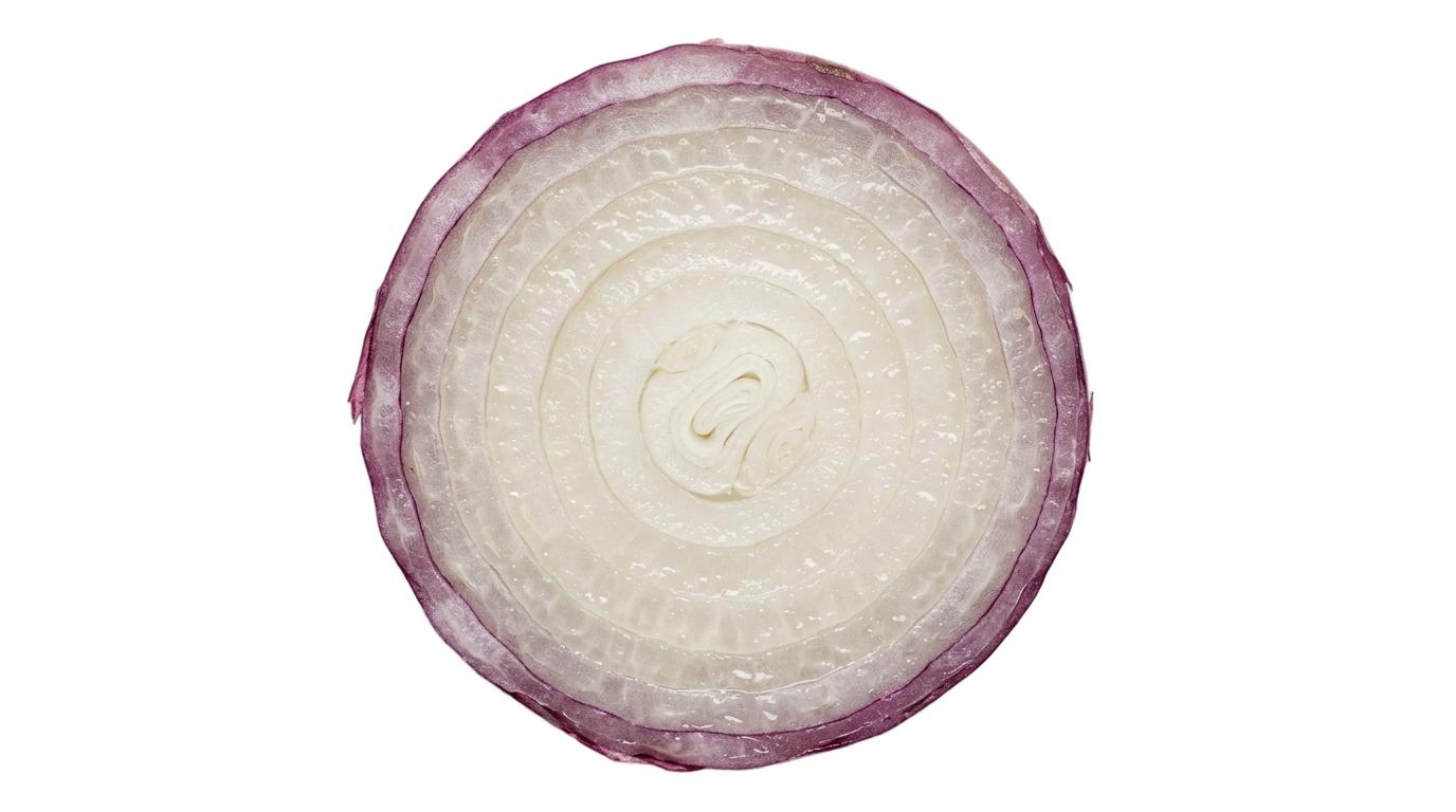 single onion slice png PNG transparent background