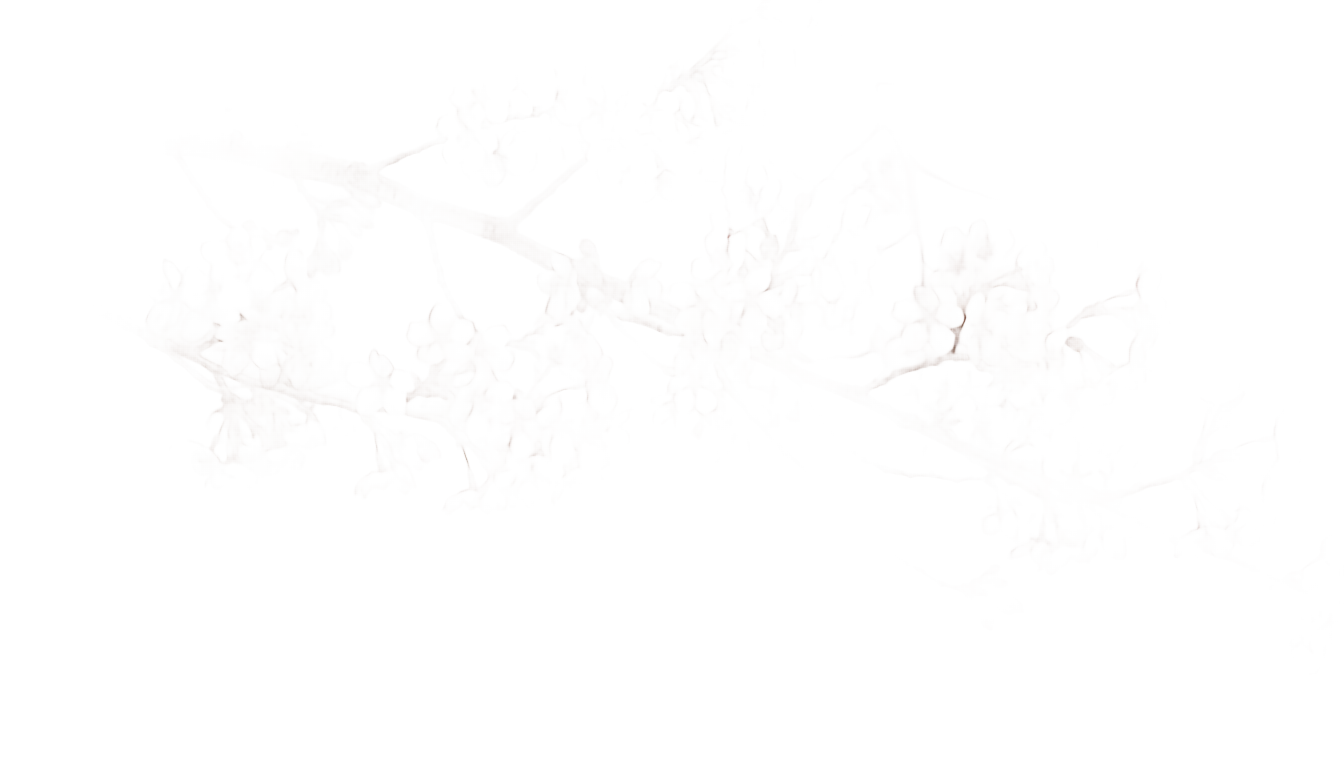cherry blossom pattern png PNG transparent background