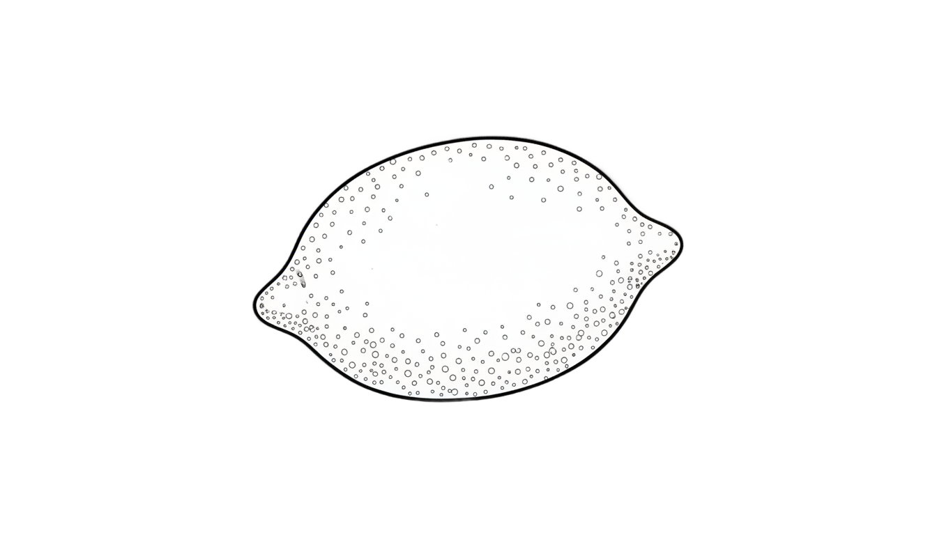 lemon outline png PNG transparent background
