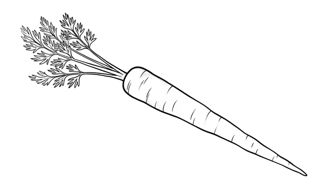 carrot black and white png PNG transparent background