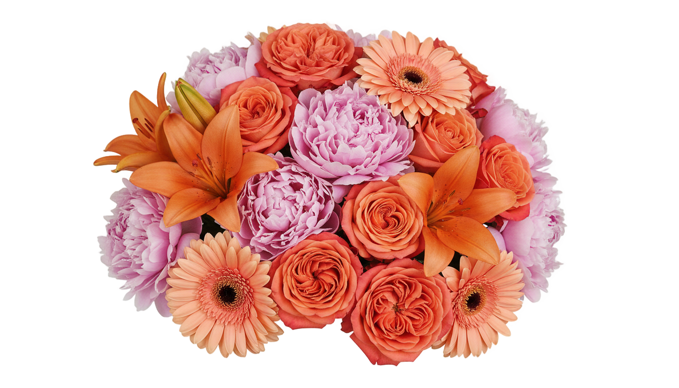 pink and orange flowers png PNG transparent background