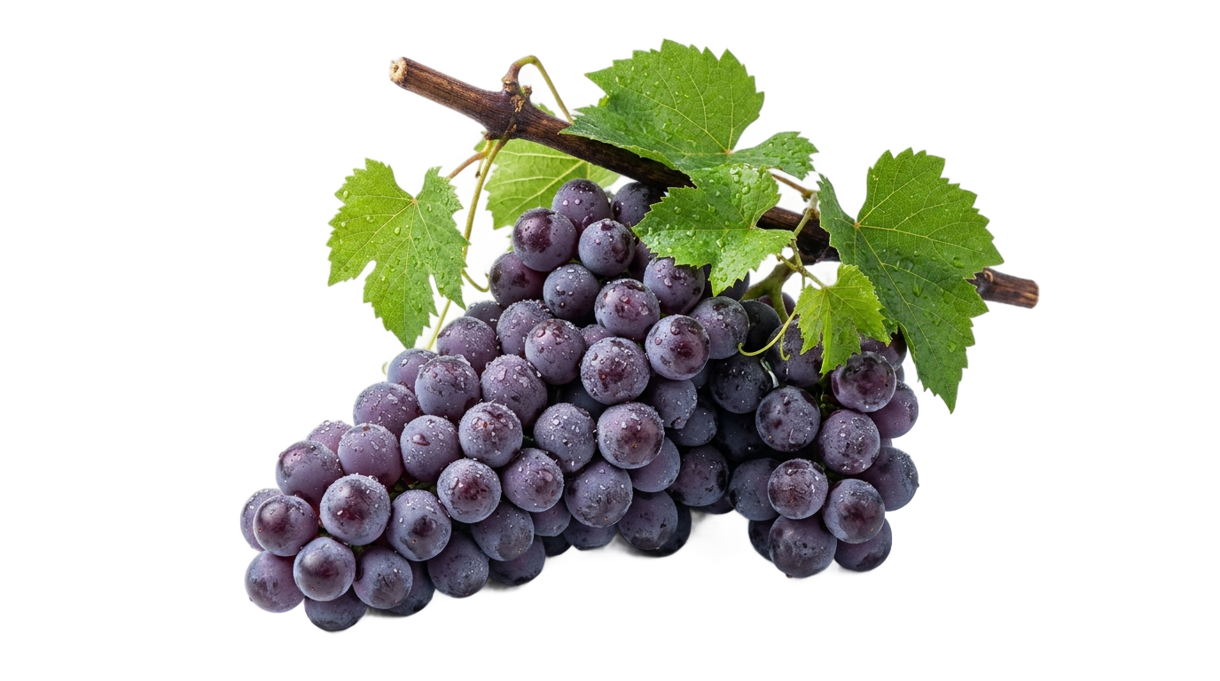 grape fruit png PNG transparent background