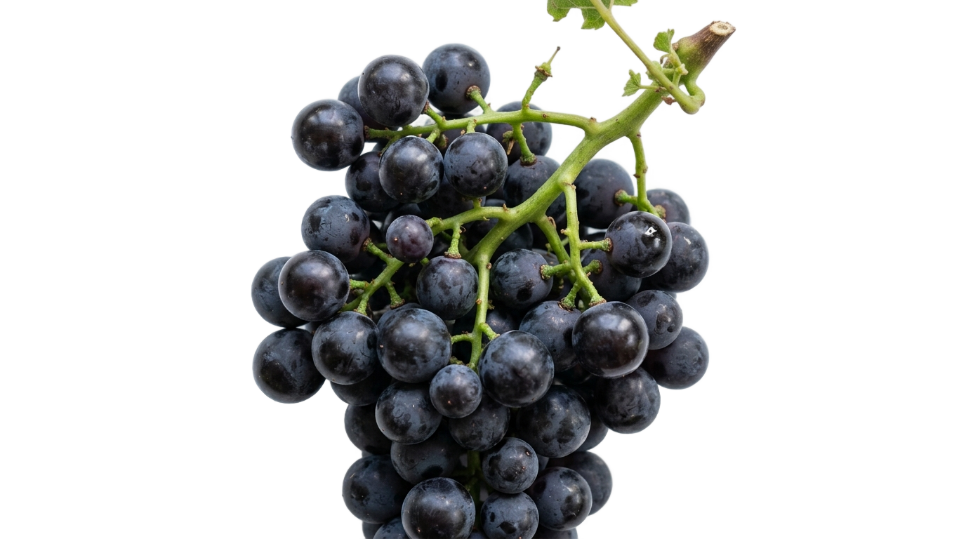black grape png PNG transparent background