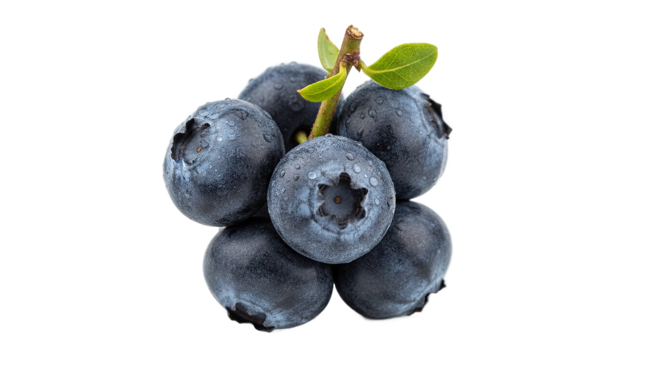 grow a garden blueberry png PNG transparent background