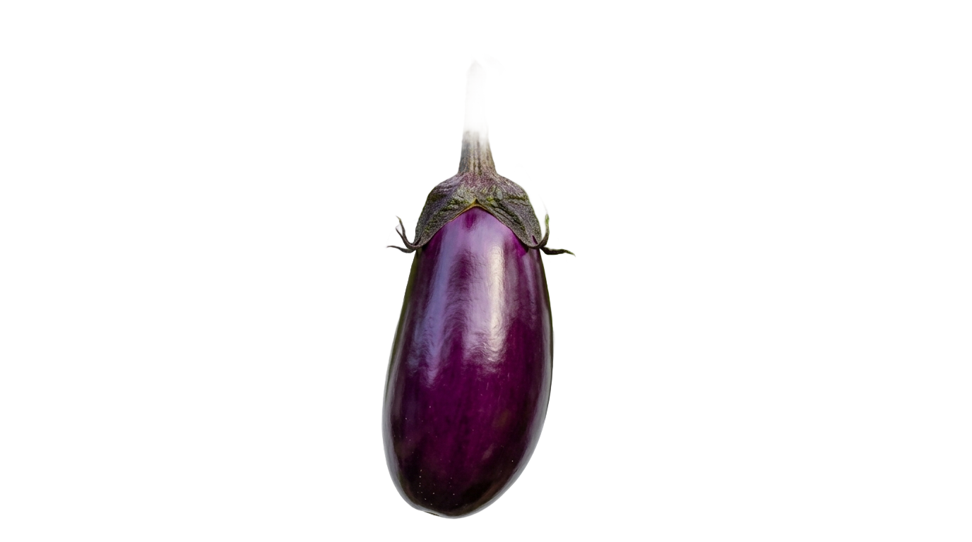 eggplant plant png PNG transparent background