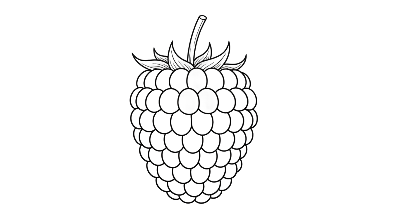 raspberry outline png PNG transparent background