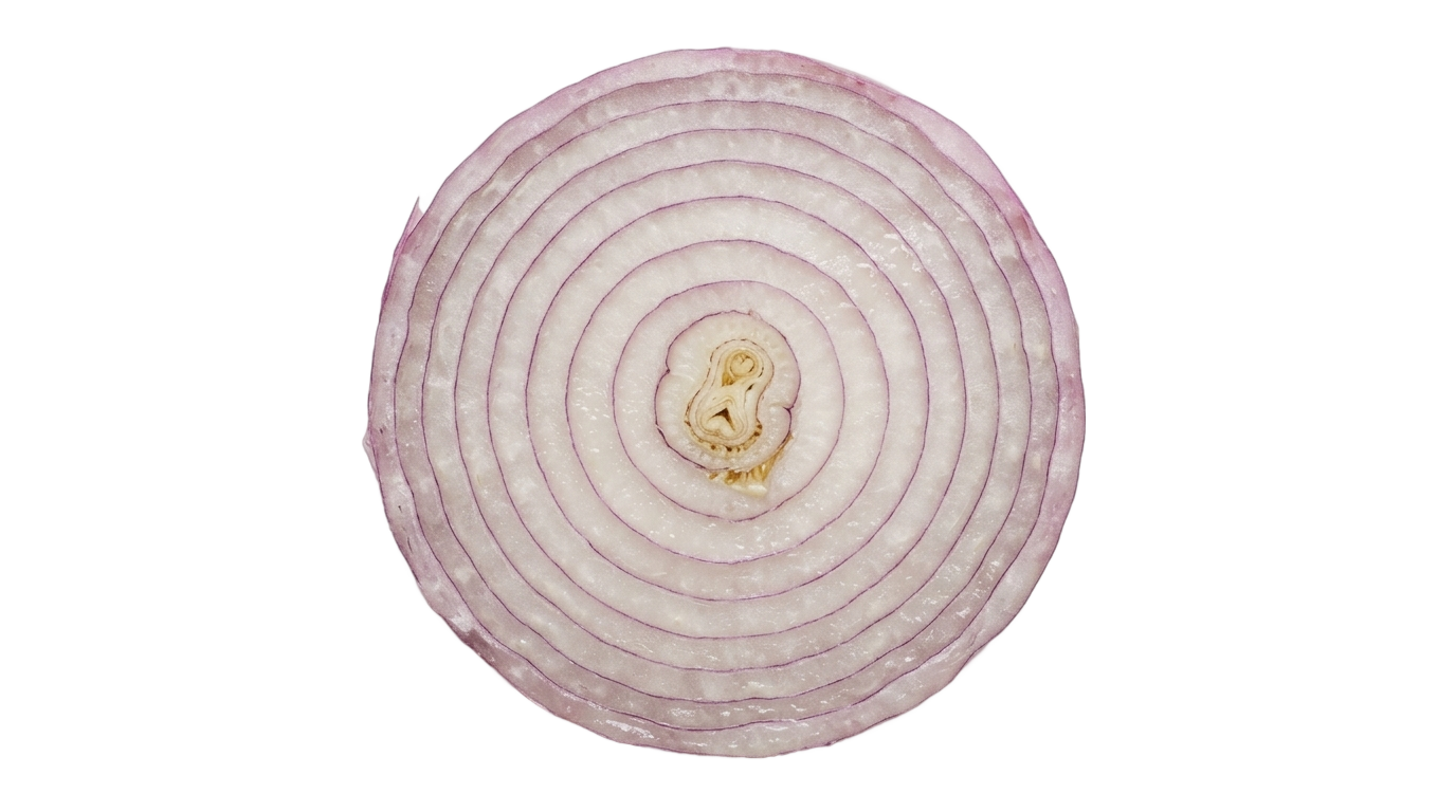 onion slice clipart png PNG transparent background