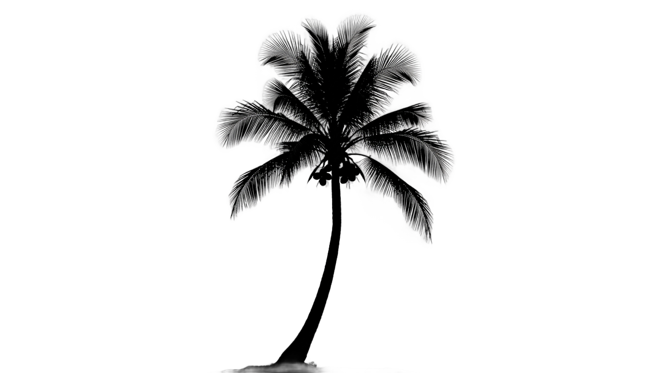 coconut tree png black and white PNG transparent background