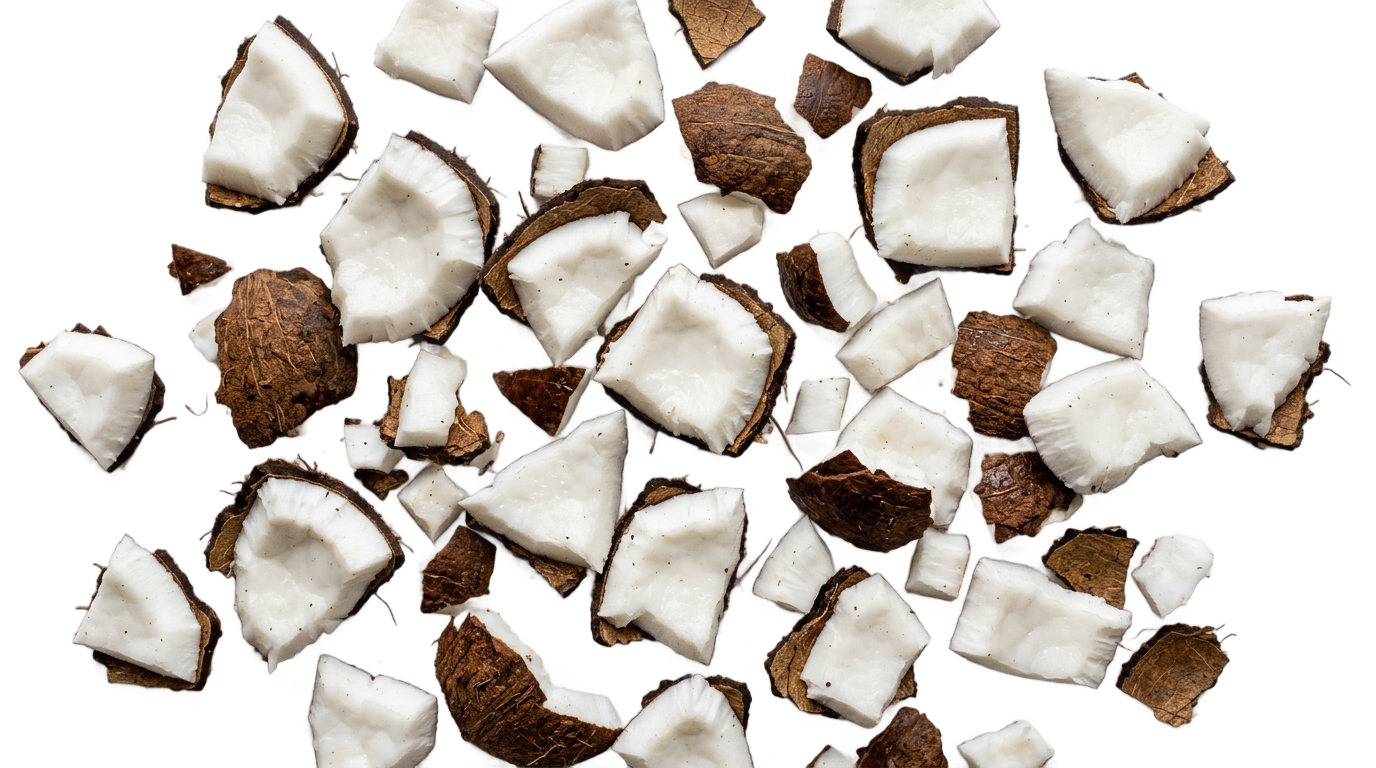 coconut pieces png PNG transparent background