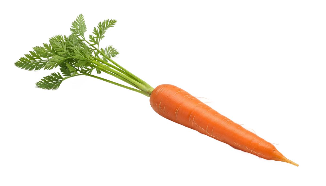 red carrot png PNG transparent background