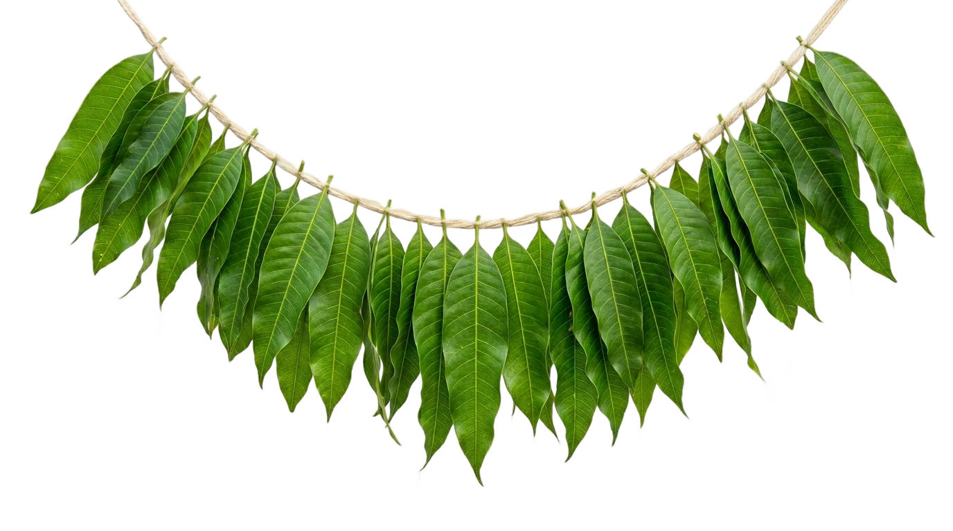 mango leaf toran png PNG transparent background