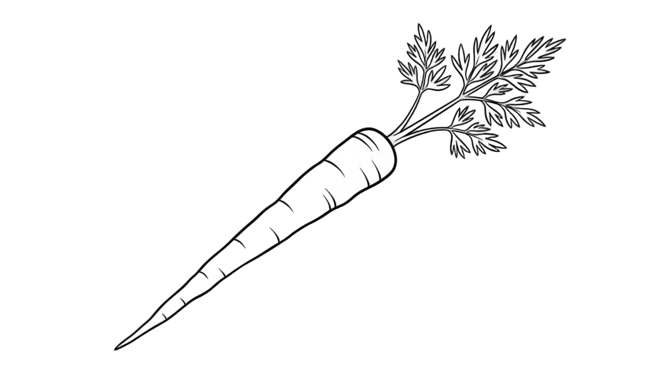 carrot black and white png PNG transparent background