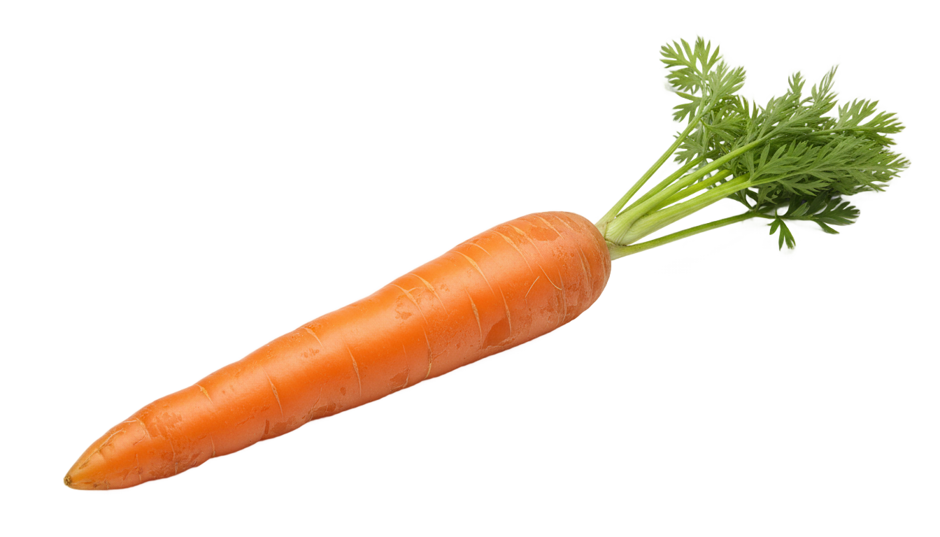 carrot clip art png PNG transparent background