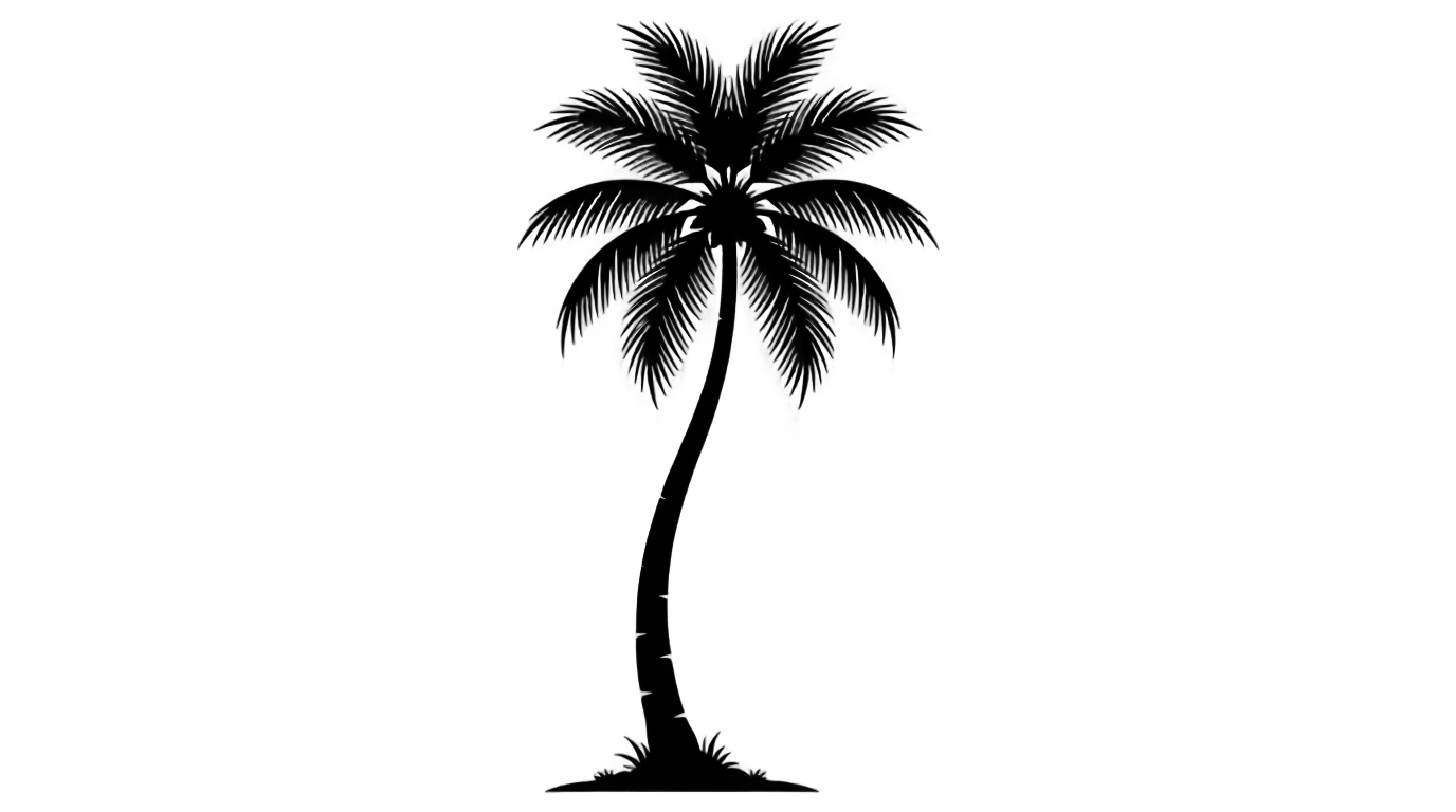 coconut tree clipart black and white png PNG transparent background