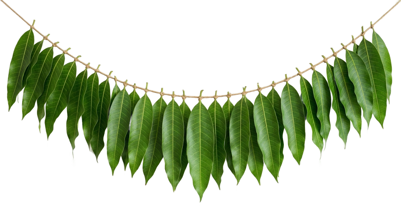 mango leaves thoranam png PNG transparent background