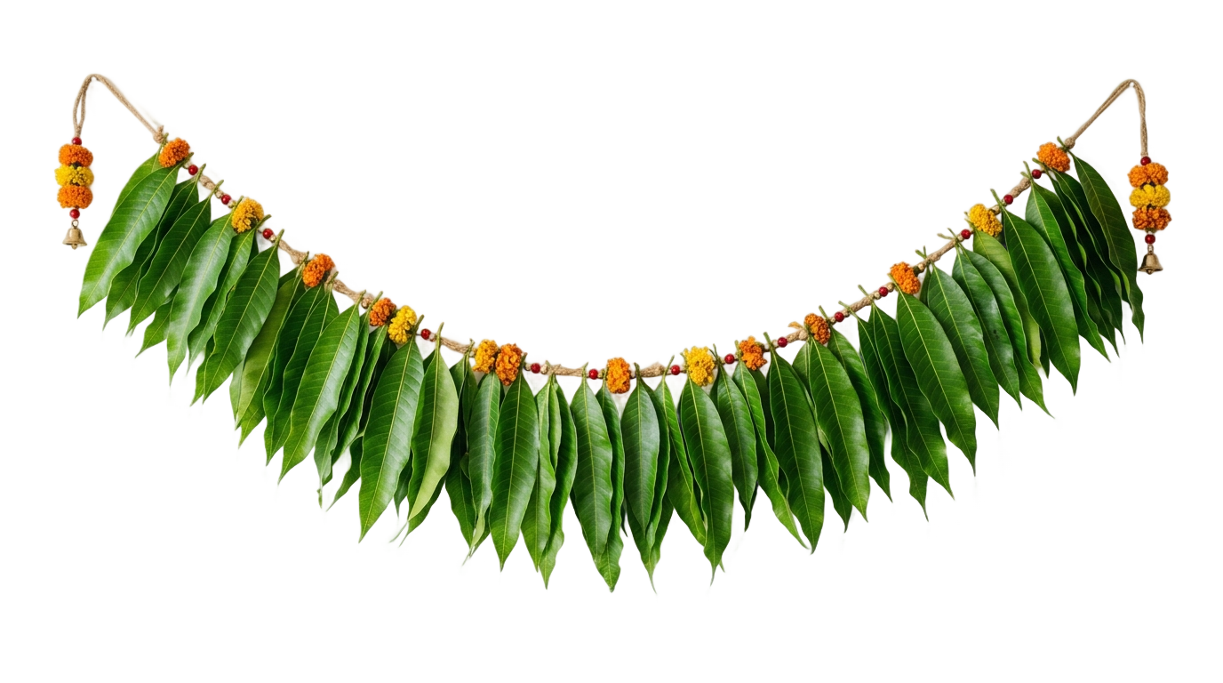 mango leaves toran png PNG transparent background