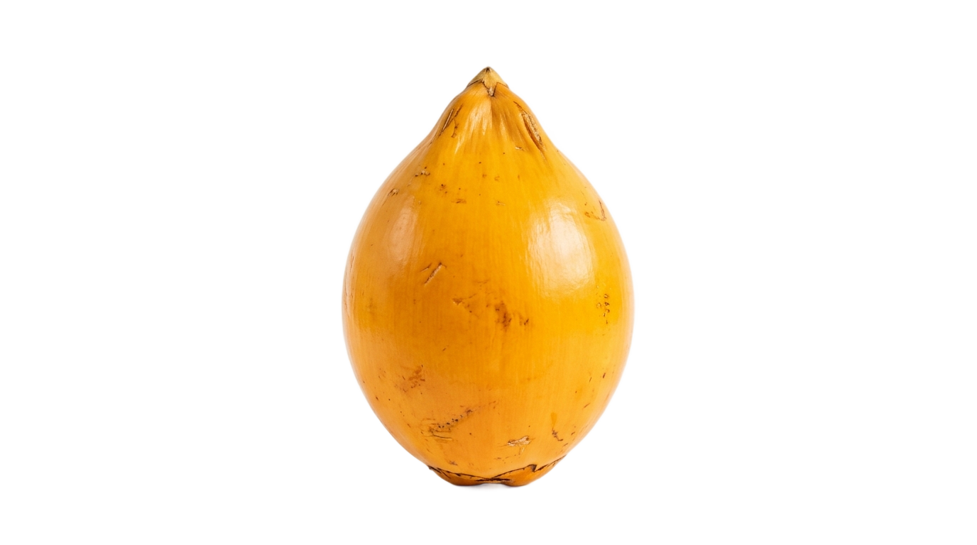 king coconut png PNG transparent background