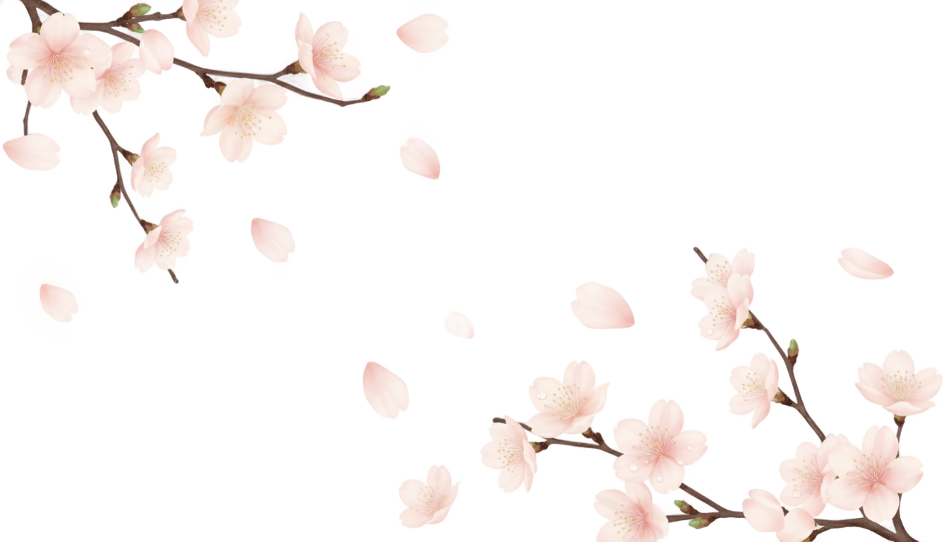 cherry blossom overlay png PNG transparent background