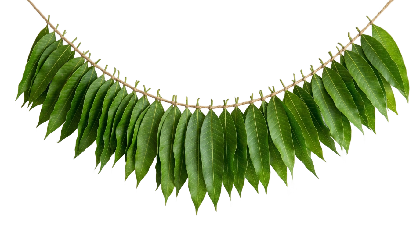 mango leaves garland png PNG transparent background