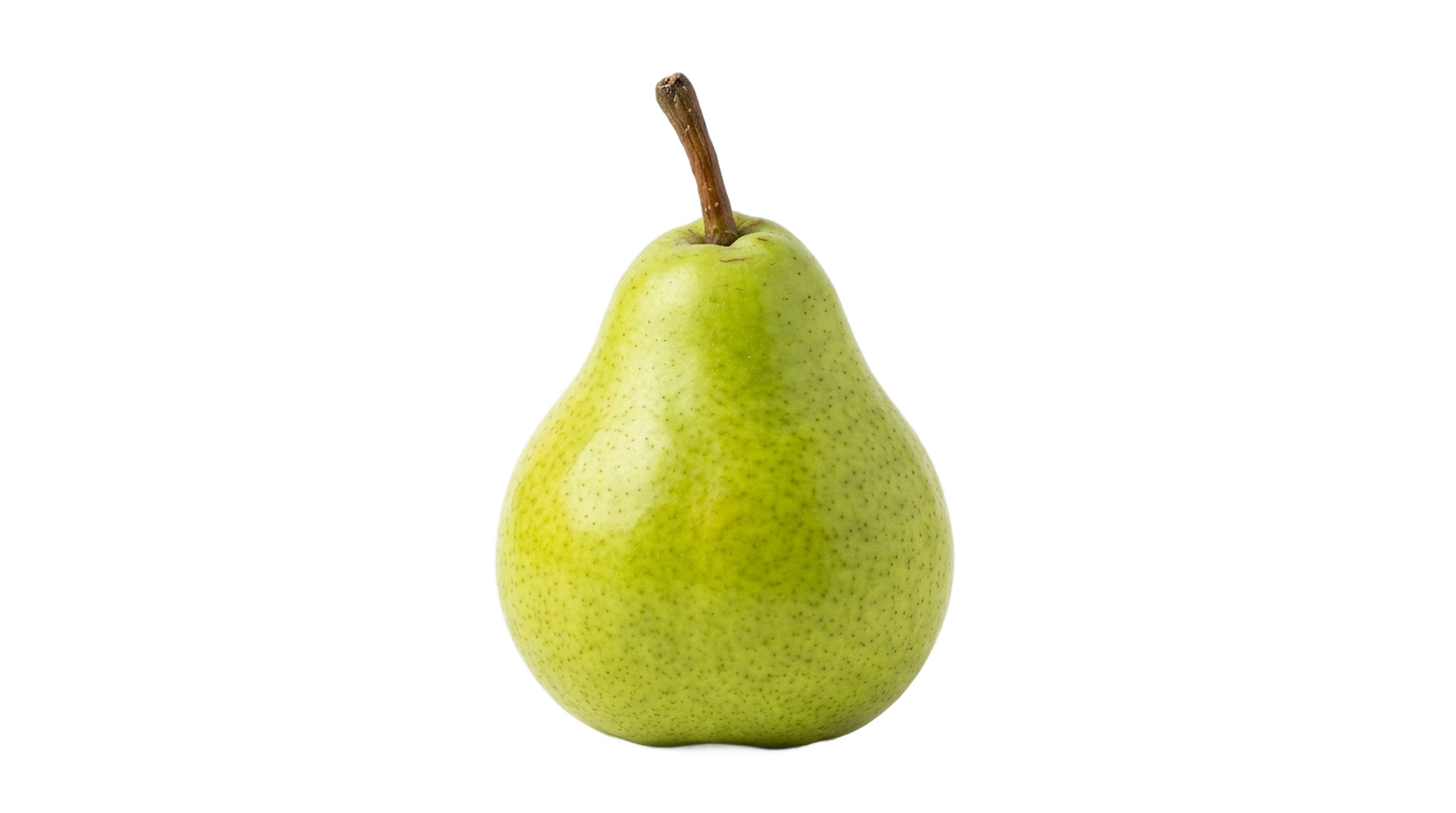 pear drawing png PNG transparent background