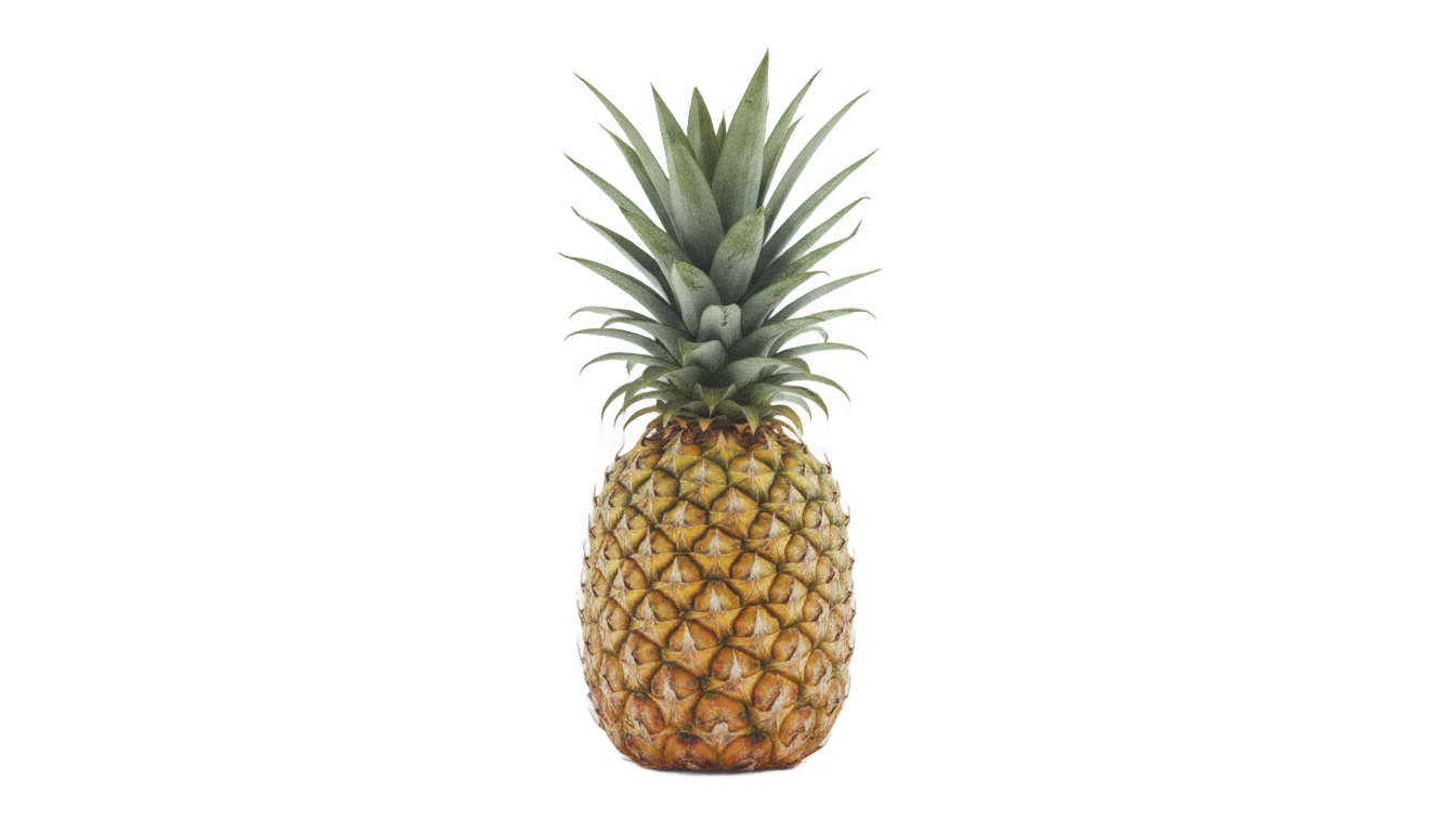 pineapple png tumblr PNG transparent background
