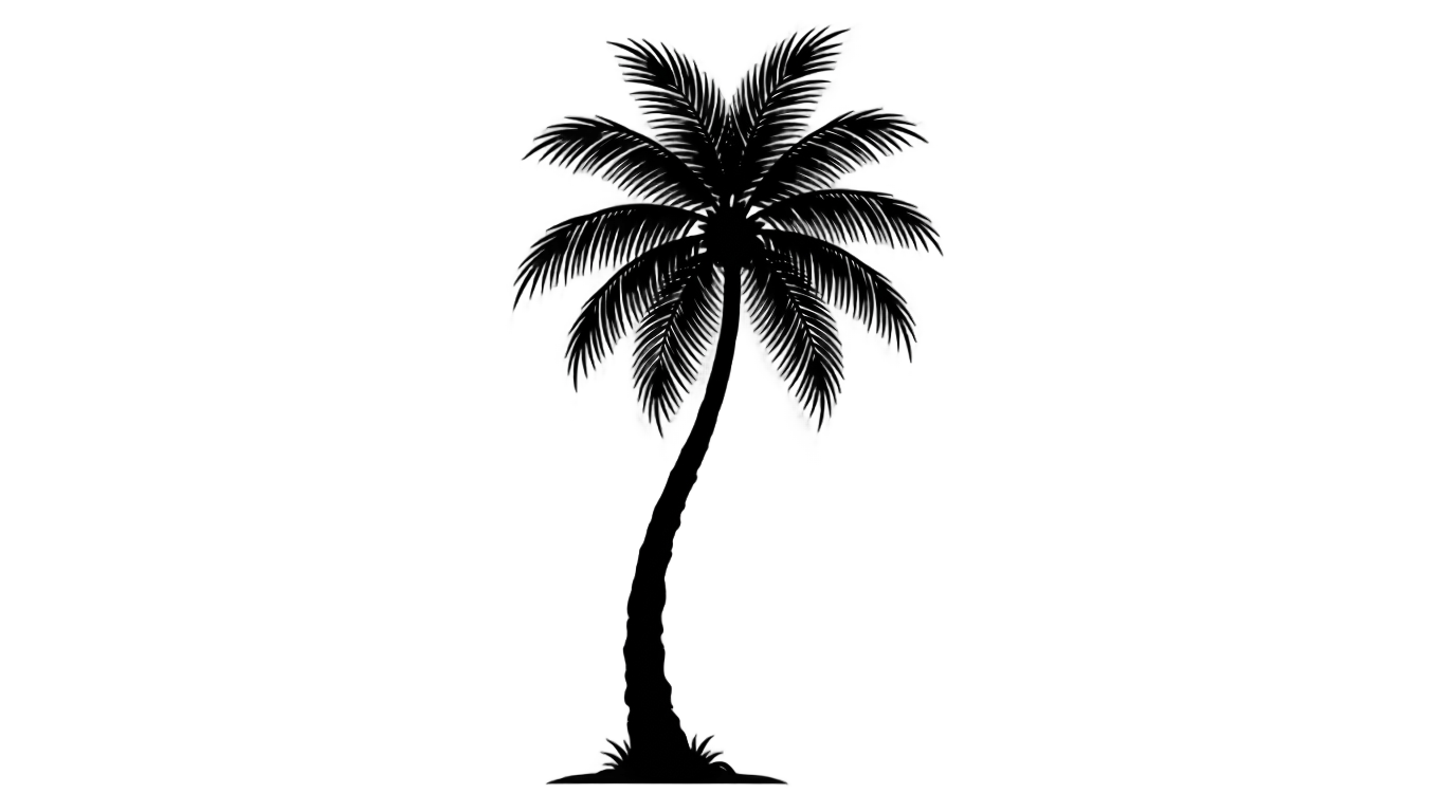 coconut tree clipart black and white png PNG transparent background