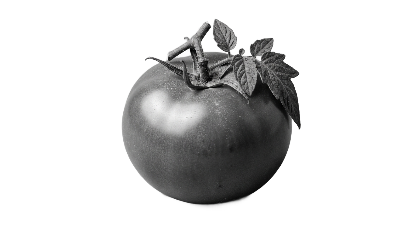 tomato png black and white PNG transparent background