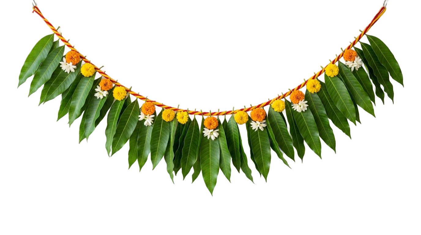 mango leaves toran png PNG transparent background