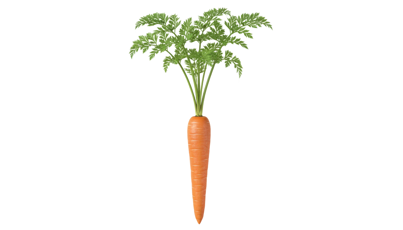 carrot sticker png PNG transparent background