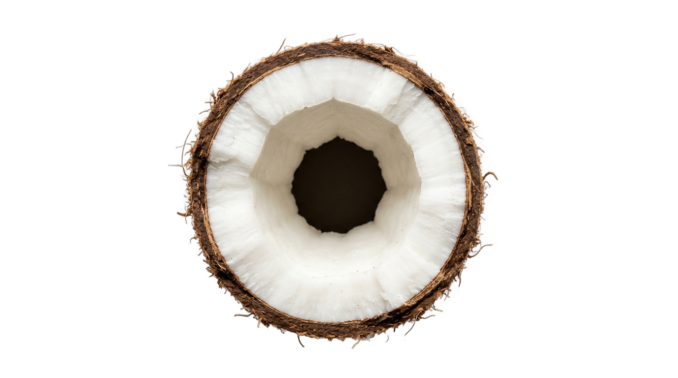 coconut slice png PNG transparent background