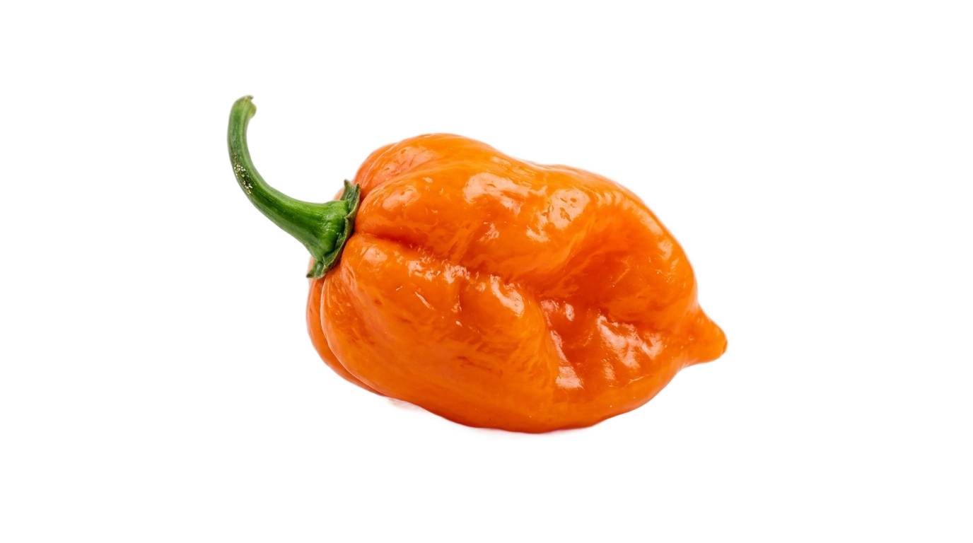 habanero pepper png PNG transparent background