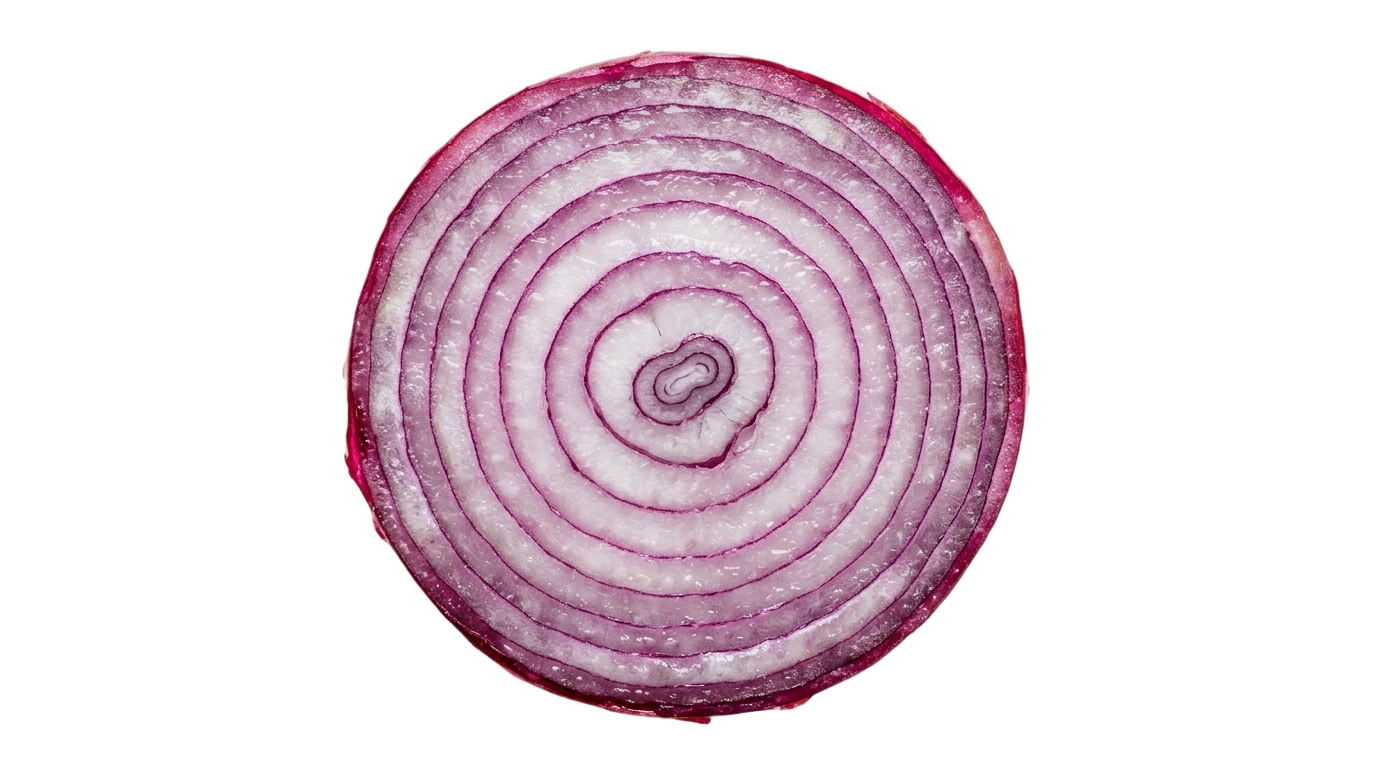 red onion slice png PNG transparent background