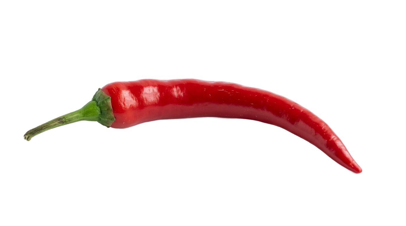 chili pepper icon png PNG transparent background