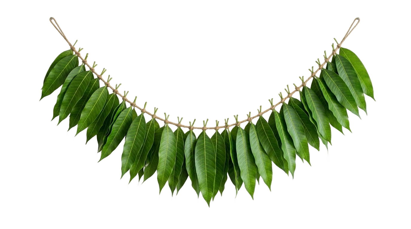 mango leaves garland png PNG transparent background