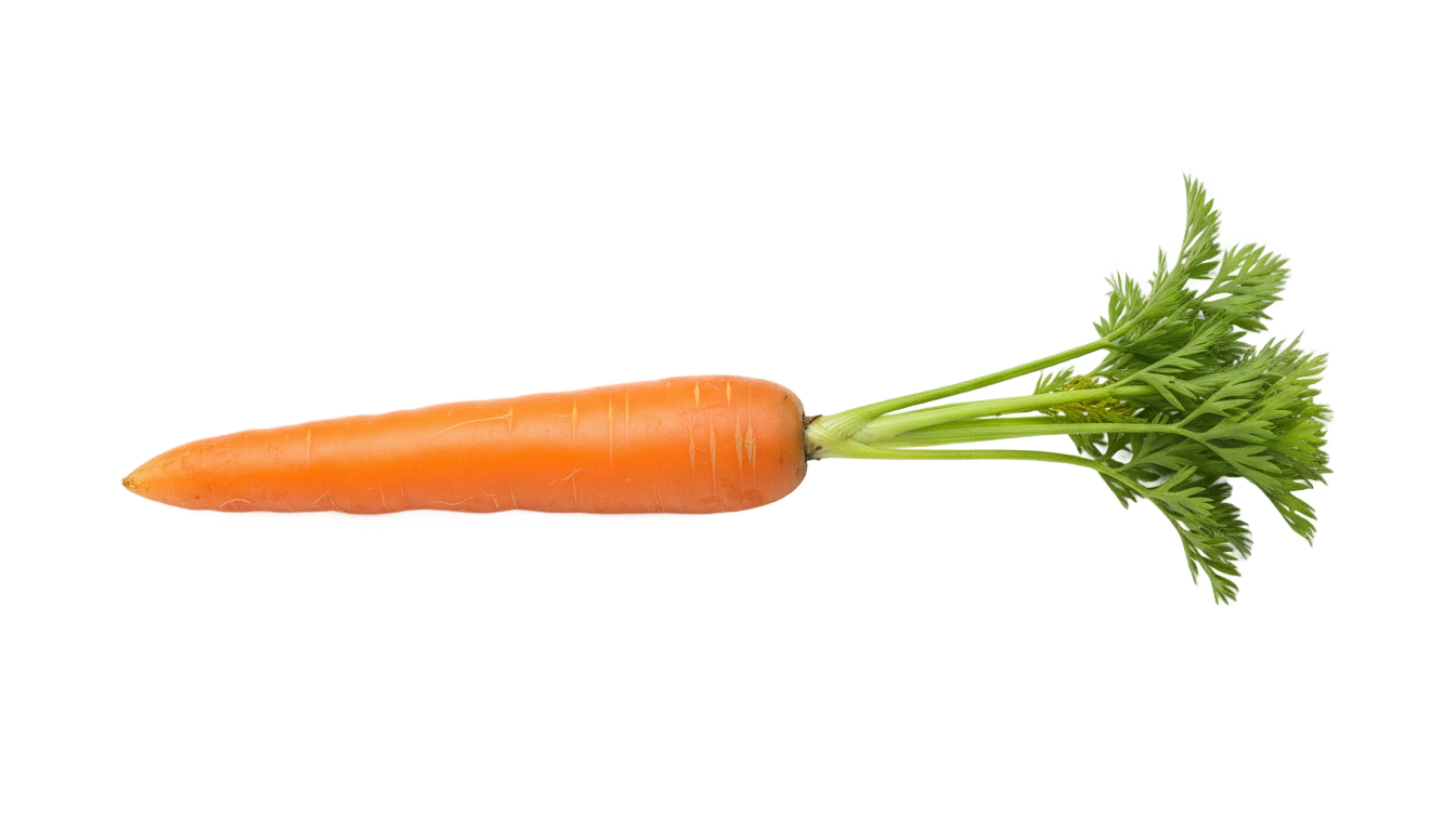 carrot nose png PNG transparent background