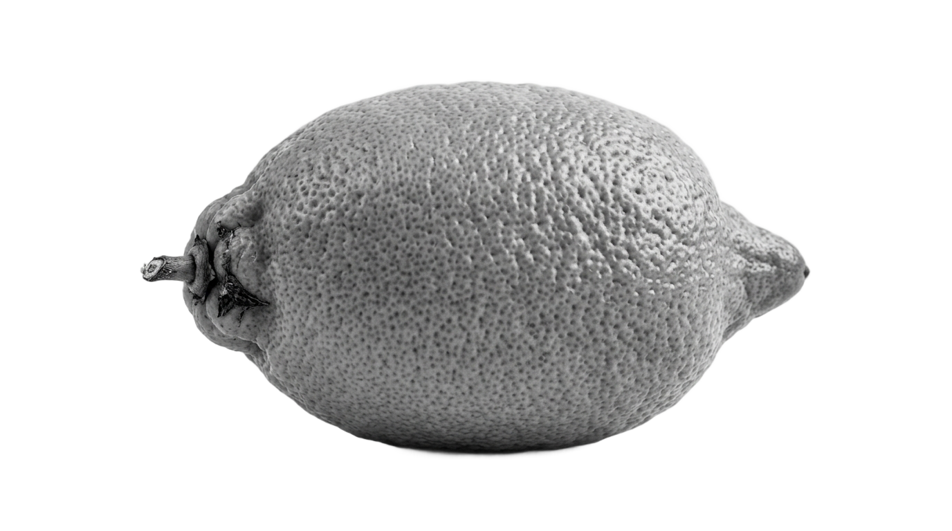 lemon black and white png PNG transparent background