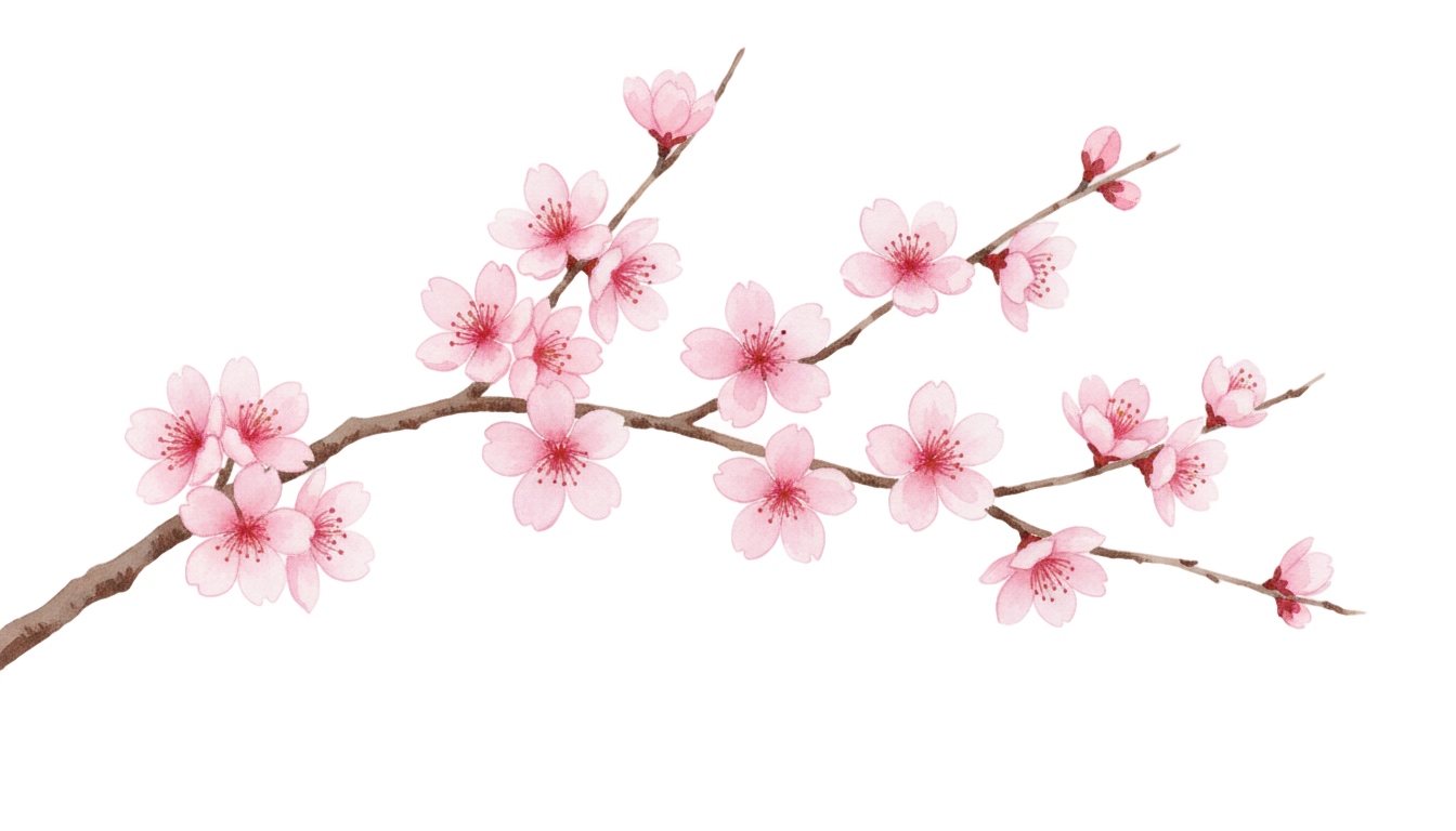 cherry blossom watercolor png PNG transparent background