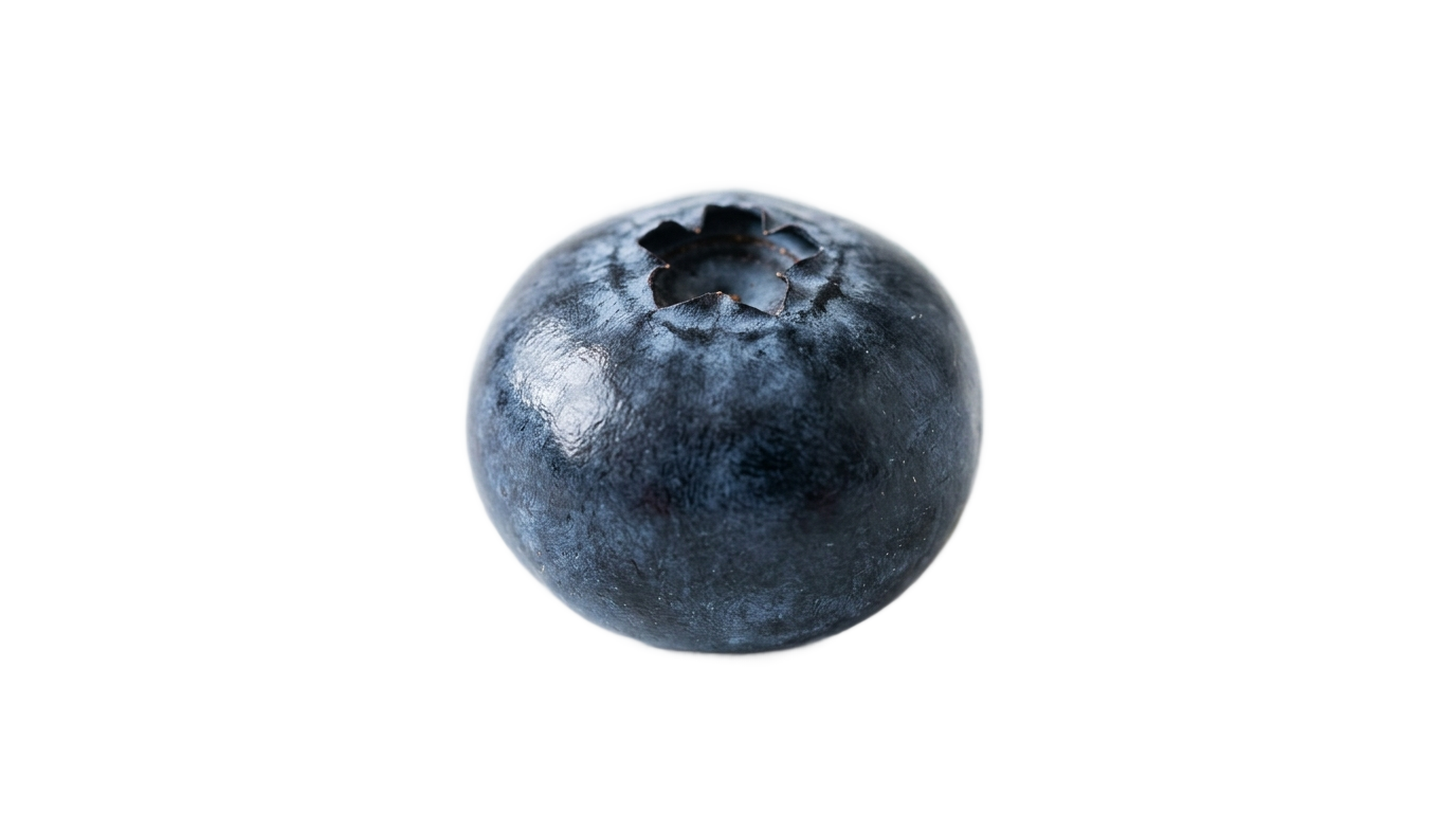 single blueberry clipart png PNG transparent background