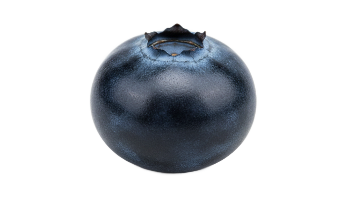 blueberry emoji png PNG transparent background
