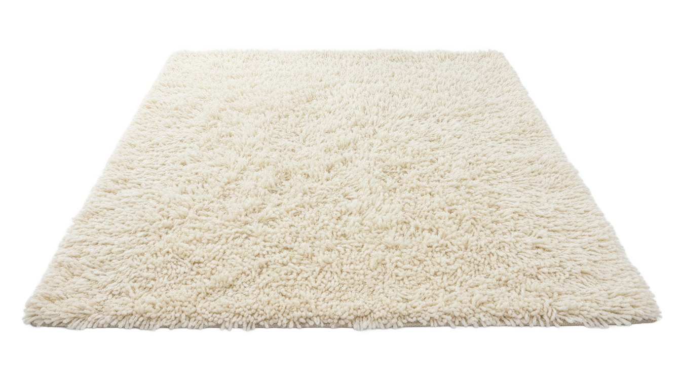 fluffy rug png PNG transparent background