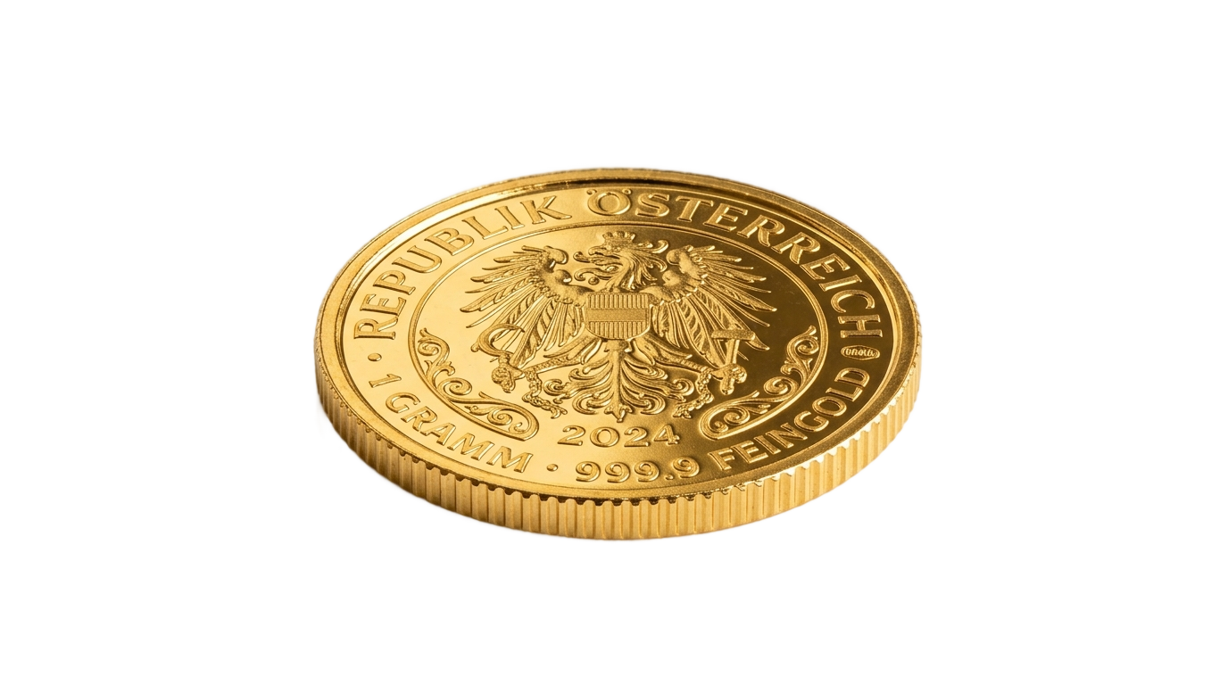 png 1gm gold coin PNG transparent background