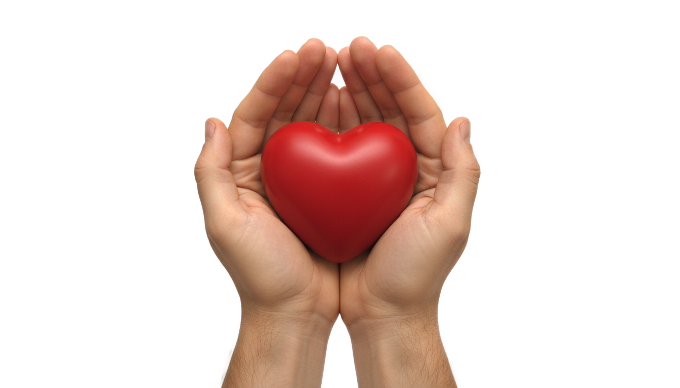 hands holding heart png PNG transparent background